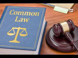 【英文合同翻译要点19】基本用语/表现 - common law